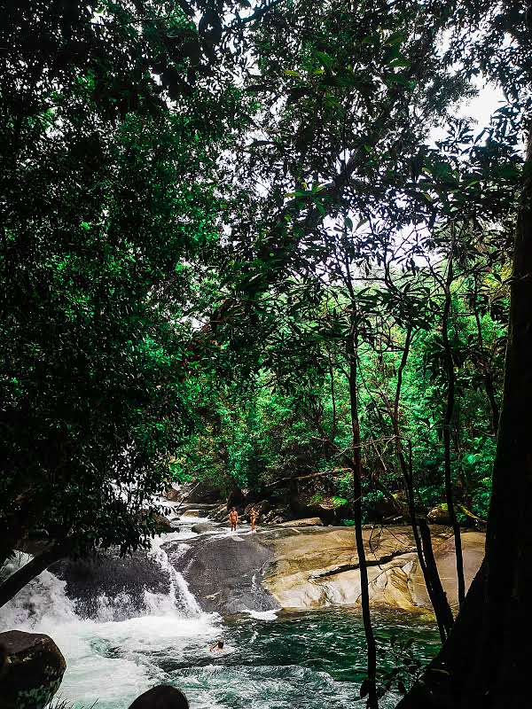 view point at josephine falls showing the waterhole and the natural rock slides.