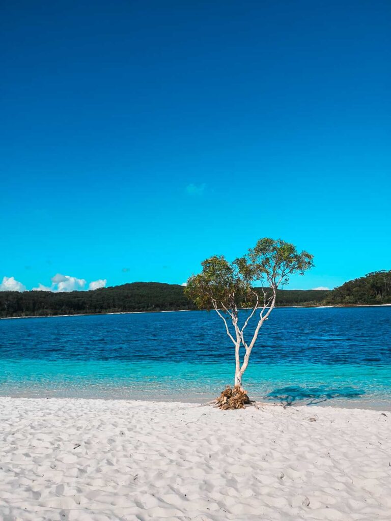 scenic view of lake mckenzie