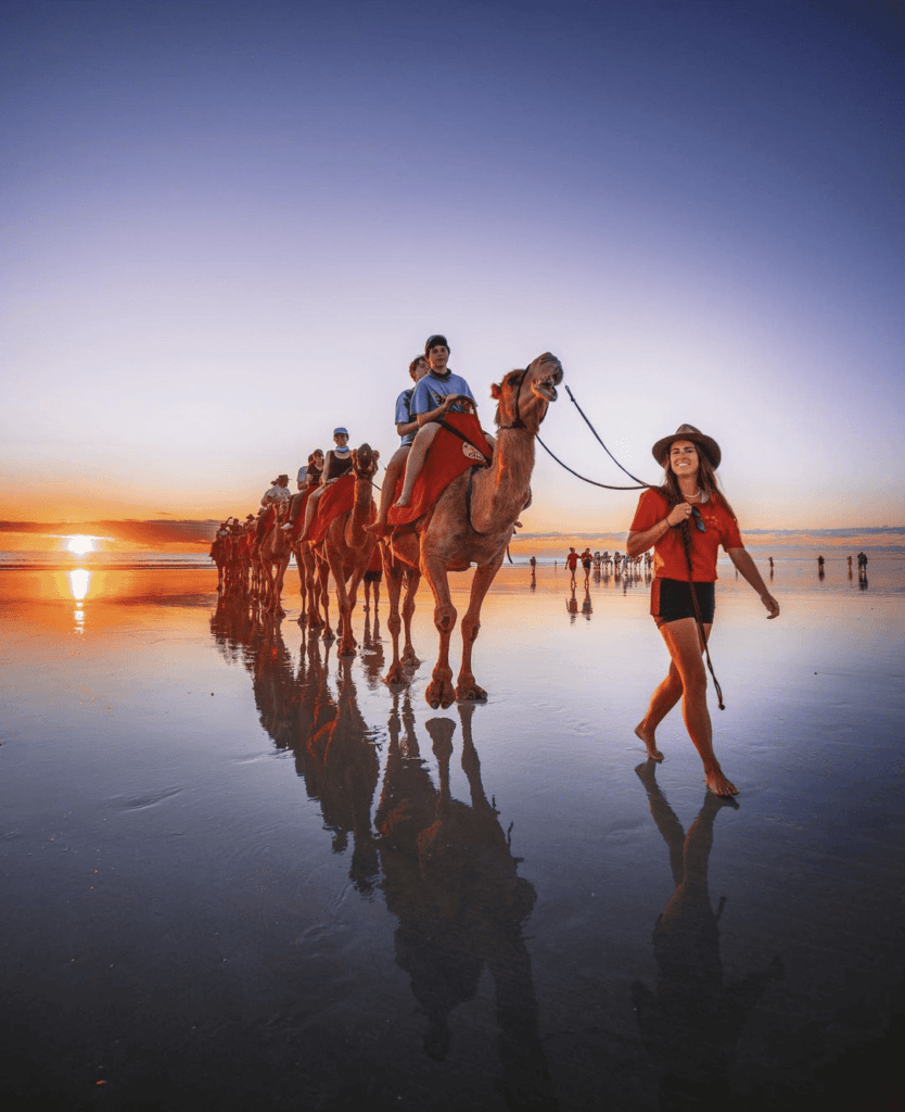 Camel sunset tour on cable beach at the cheap holiday destination broome