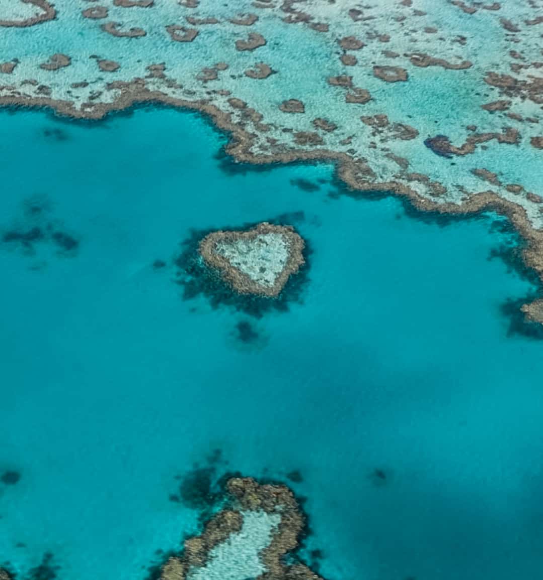 aerial photo of the heart reef located on the great barrier reef