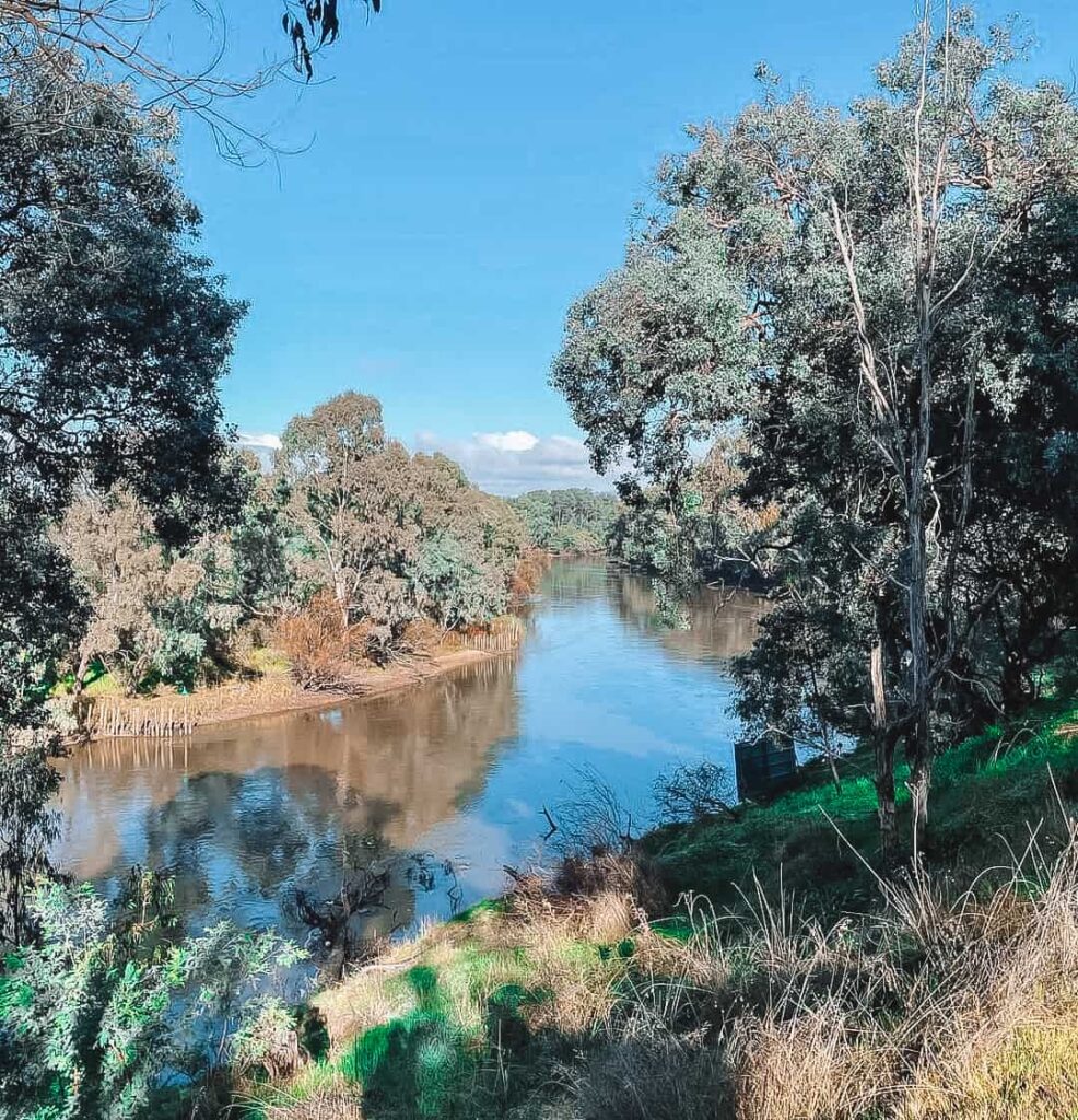 Murray river with tree's along the river bank located in the cheap holiday destination Albury