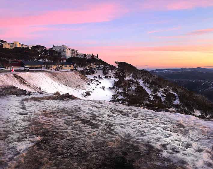 Mount Hotham at sunset. The sunset is pink and blue. Snow covers the ground with a few bushes and snow gums poking out.